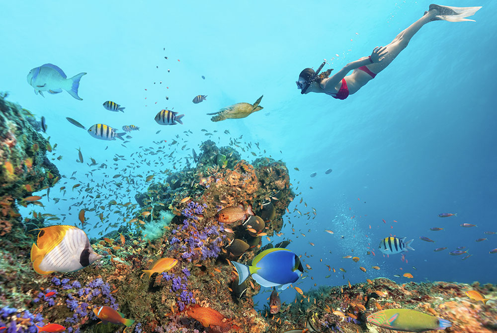 Snorkeling from the sailboat